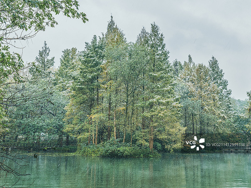 2022杭州西湖雪景：花港观鱼和太子湾公园图片素材