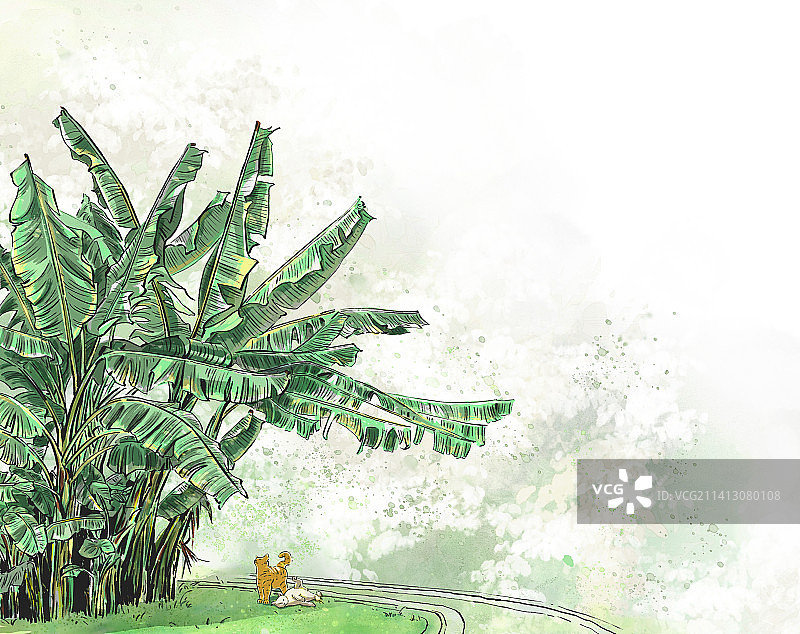 生活 自然图片素材