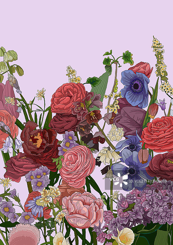 花卉插画图片素材