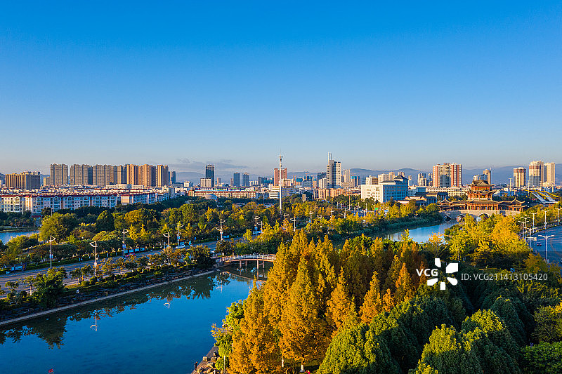 云南省玉溪市玉溪大河银杏水杉图片素材