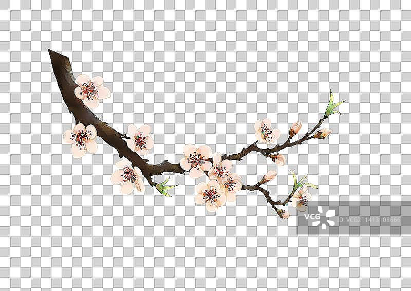 一枝桃花图片素材