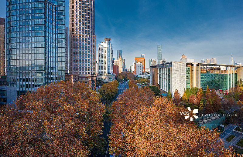 一到秋天，南京就成了金陵。今年的梧桐从黄到绿渐变的塔特别美丽，这是属于南京的浪漫。图片素材