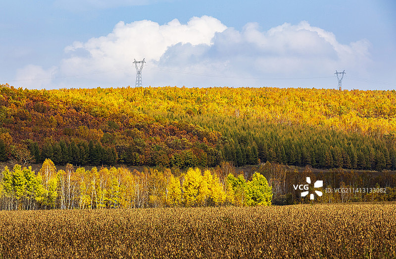 黑龙江黑河路边秋色图片素材