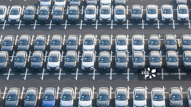 航拍南沙汽车码头密集的汽车群图片素材