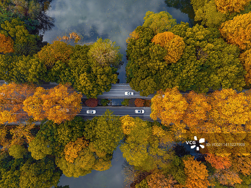 西湖杨公提秋色图片素材