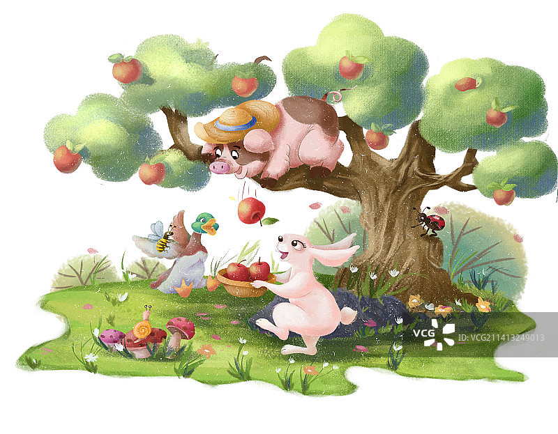 森林里的动物图片素材