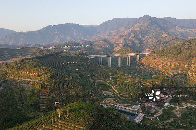 感德茶园图片素材