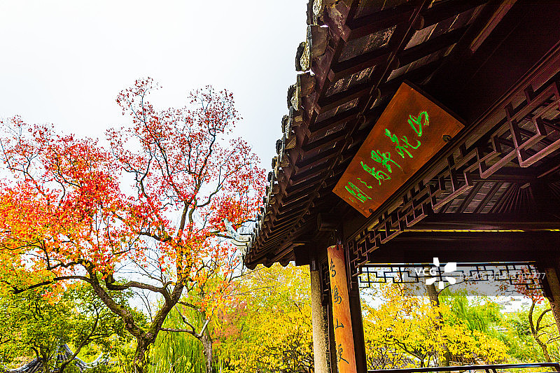 江苏苏州拙政园秋季风光图片素材