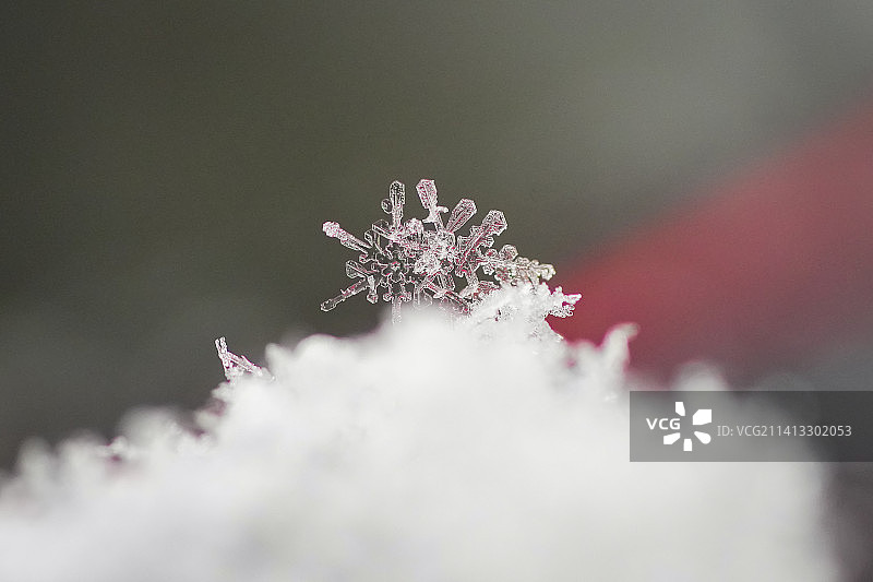 雪花微距图片素材