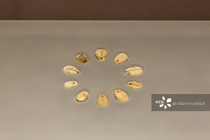 春秋早期子安贝饰 枣阳郭家庙墓地曹门湾墓区1号墓出土 湖北省博物馆藏图片素材