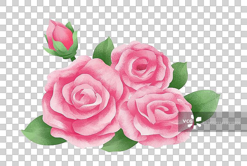 玫瑰花插画元素图片素材