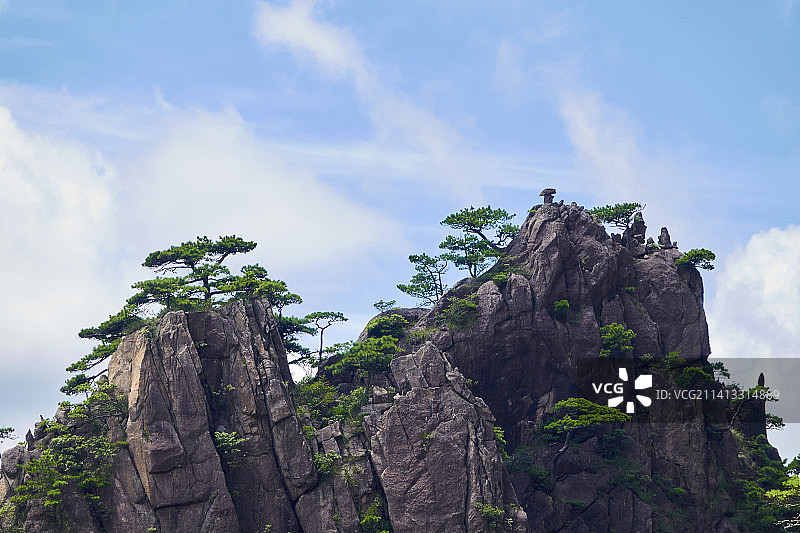 黄山的松和石图片素材