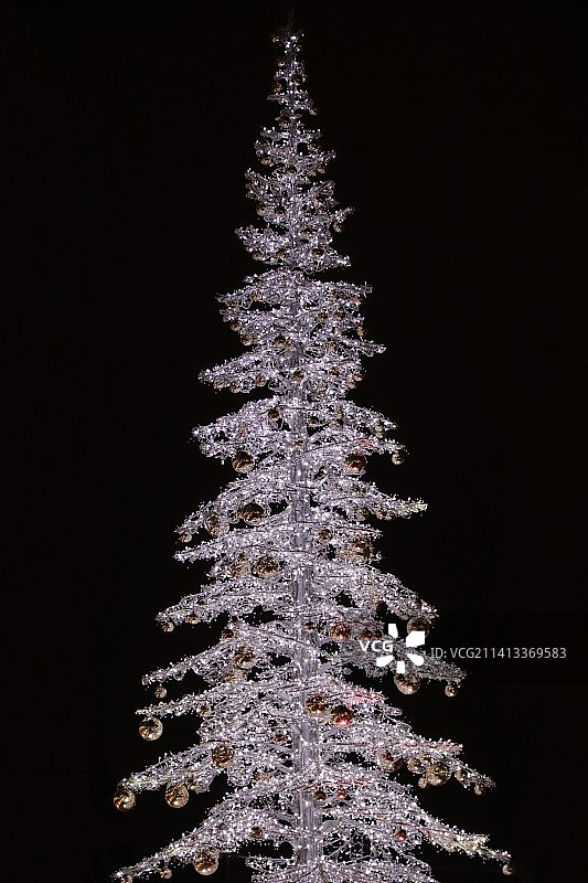 匈牙利布达佩斯黑色背景下的圣诞树特写图片素材