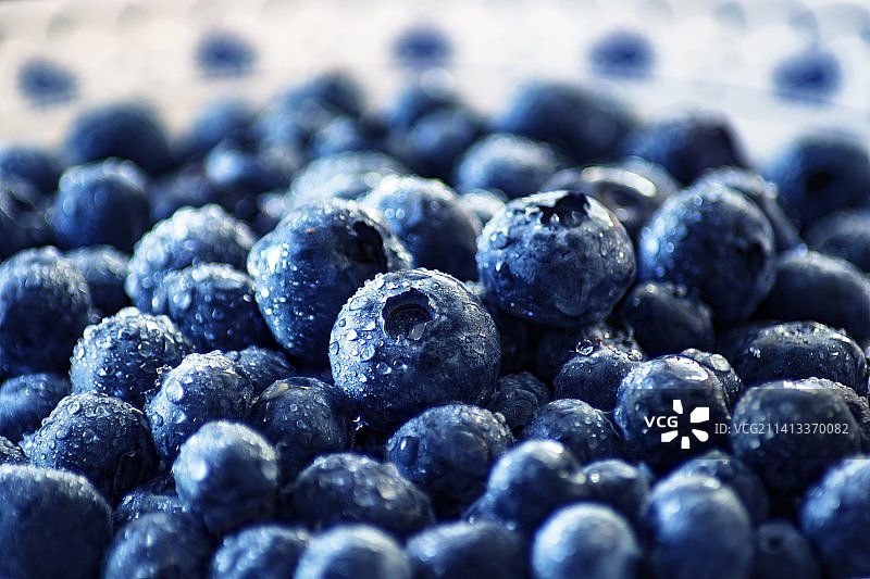 印度尼西亚蓝莓特写图片素材