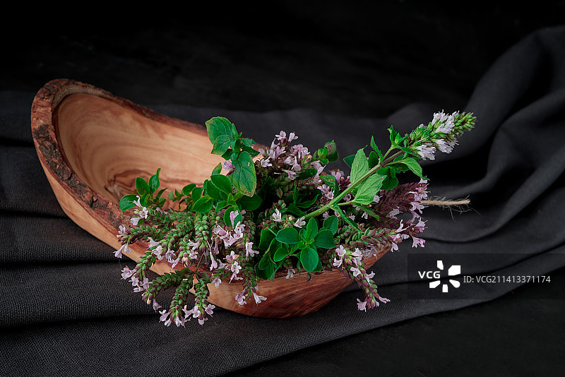 英国健康花园中盛开的牛至植物特写图片素材