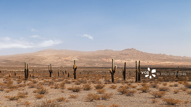 来自阿根廷萨尔塔卡奇洛斯卡多内斯国家公园的问候图片素材