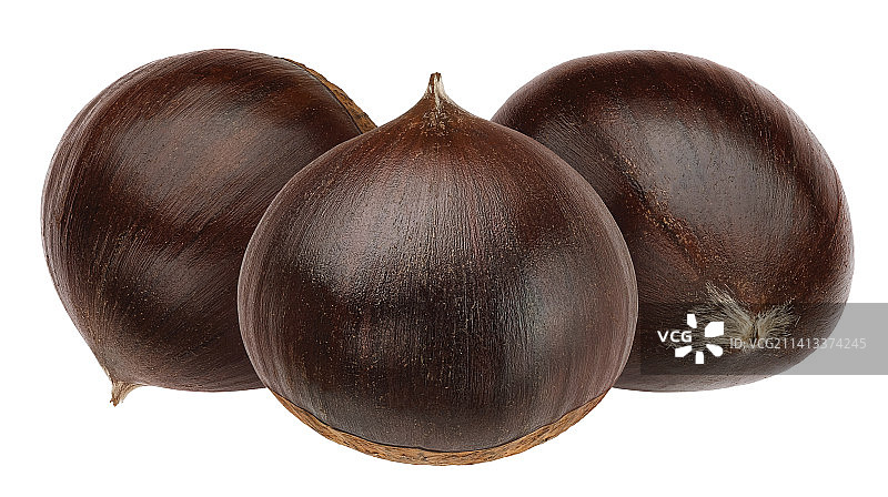 白色背景上的普通甜菜特写图片素材