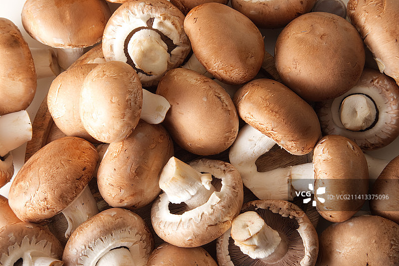 不同形状和大小的棕色蘑菇特写顶视图图片素材