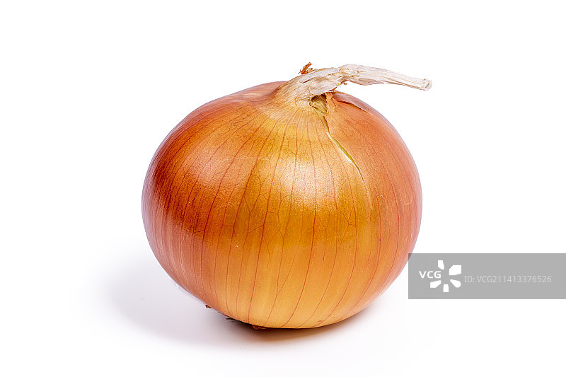 白色背景上的洋葱特写图片素材