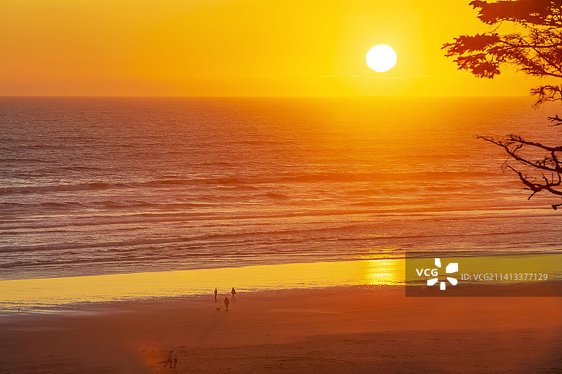 美国华盛顿州西布鲁克橙色天空海景图片素材
