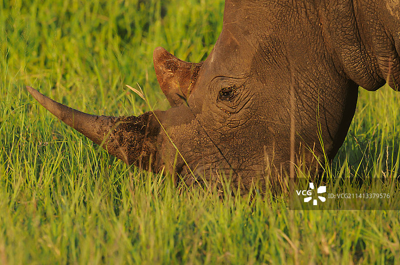 肖氏之门，南非图片素材