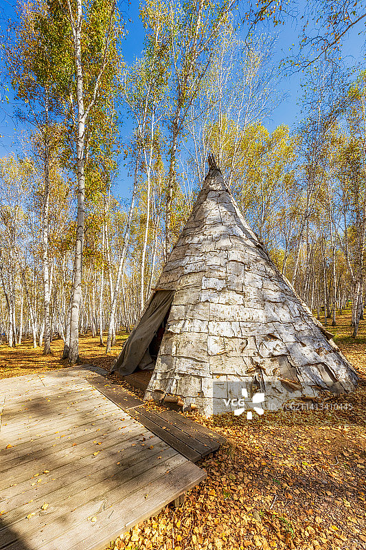 内蒙古呼伦贝尔市额尔古纳市白桦林景区鄂温克族驯鹿小屋秋季户外风光图片素材