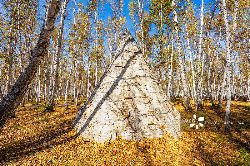 内蒙古呼伦贝尔市额尔古纳市白桦林景区鄂温克族驯鹿小屋秋季户外风光图片素材
