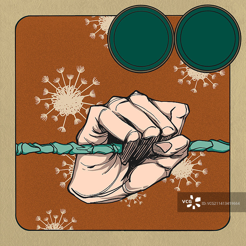 动植物中药材包装插画图片素材