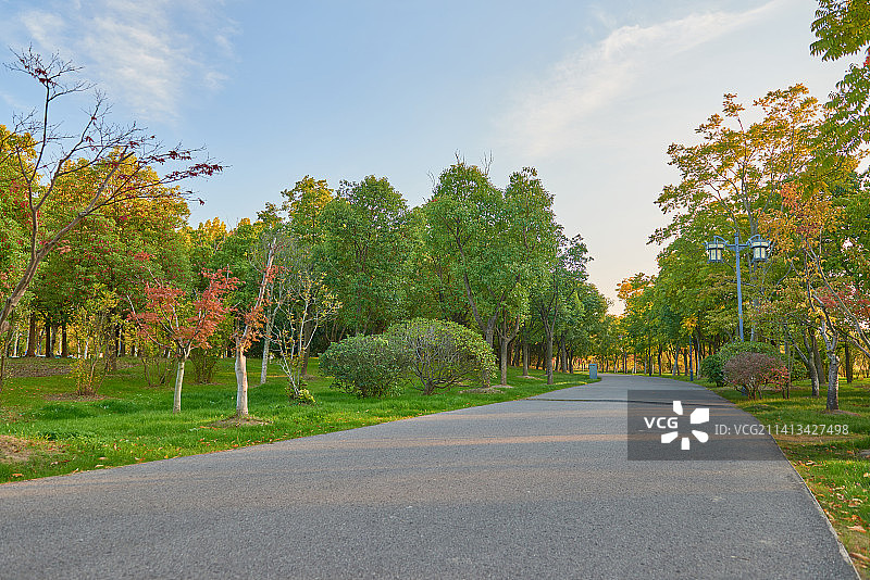 秋天公园里无人的路面图片素材