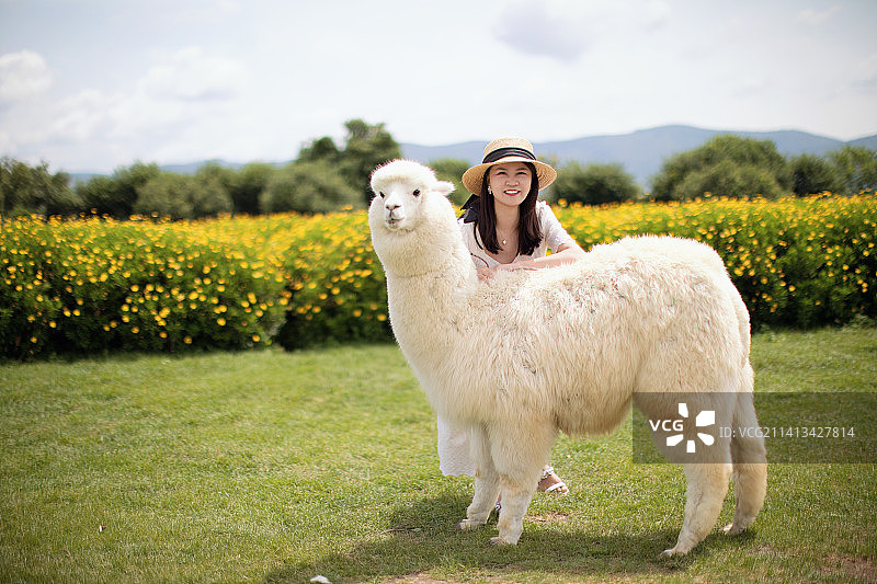 女人与羊驼图片素材