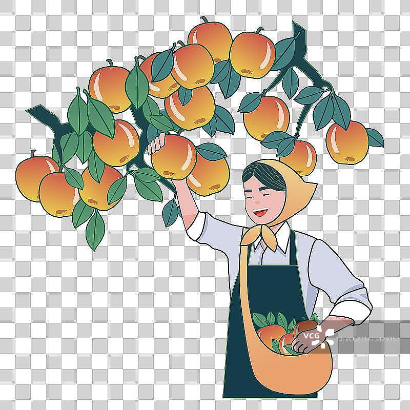 摘苹果的人图片素材