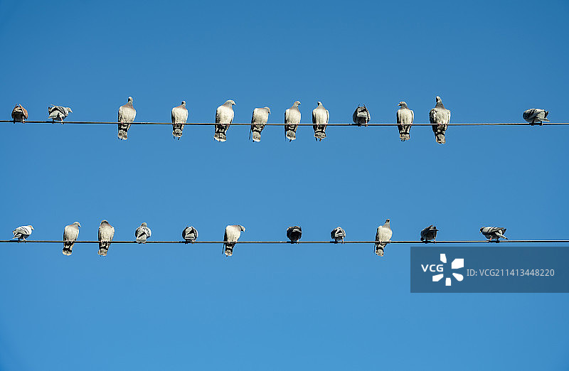 北锣鼓巷图片素材