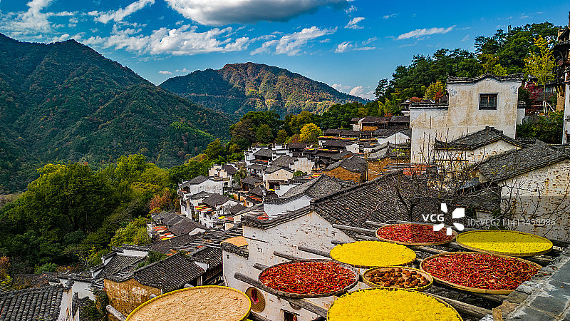 晒秋景象全貌图片素材