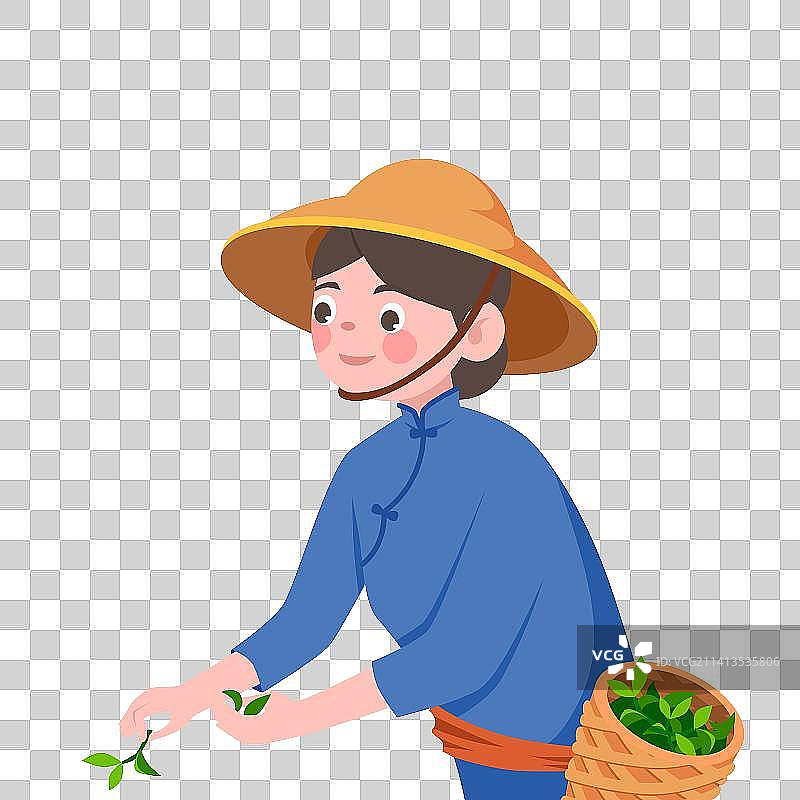 茶叶采摘乡村振兴茶叶采茶女草帽民族服装茶篓图片素材