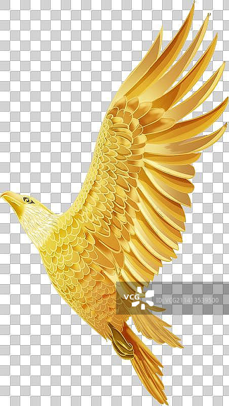 国潮风插画手绘鹰图片素材