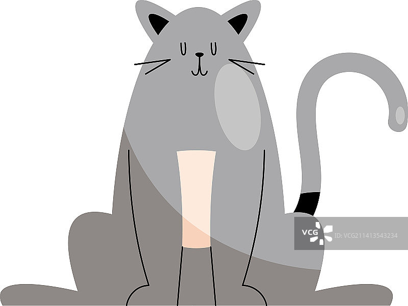 可爱的灰色猫咪坐着图片素材