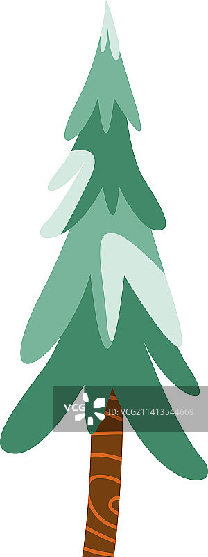 松树植物图片素材