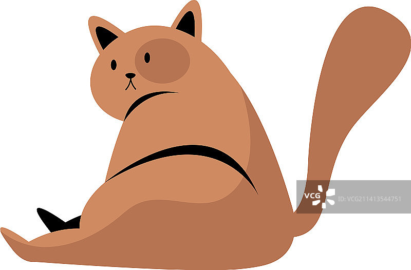 可爱的棕色小猫图片素材