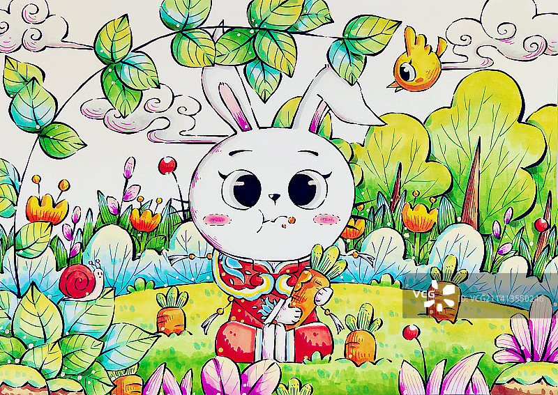 吃胡萝卜的兔子图片素材