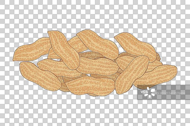 花生插画元素图片素材