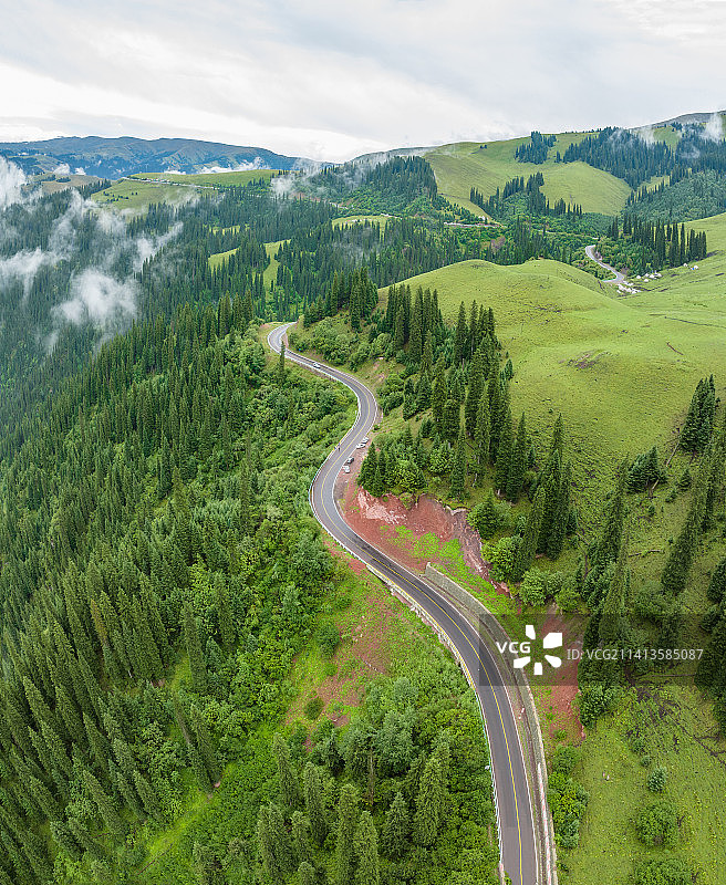 新疆伊犁昭苏天山牧场图片素材
