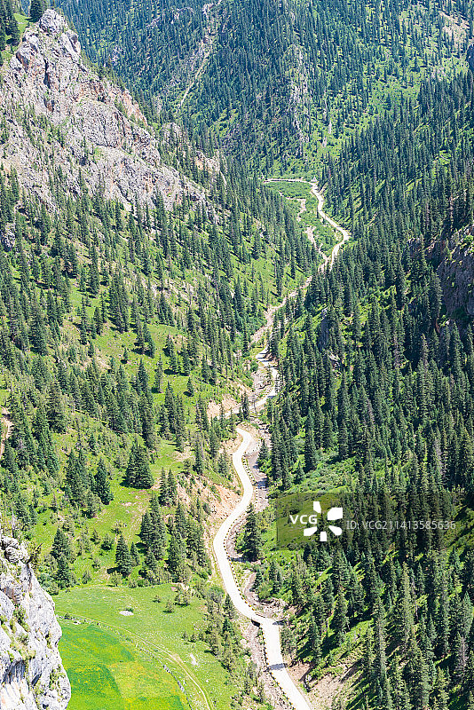 青海玉树囊谦县白扎林场图片素材