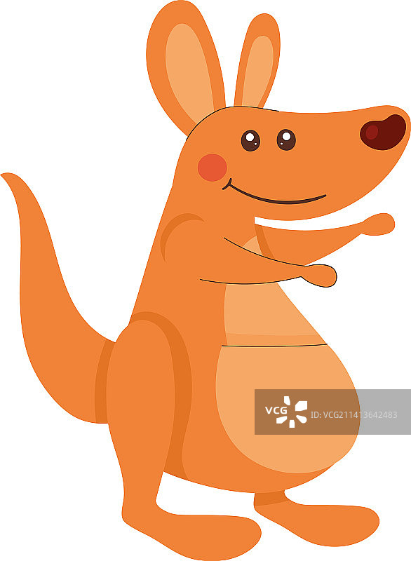 澳大利亚传统动物袋鼠图片素材