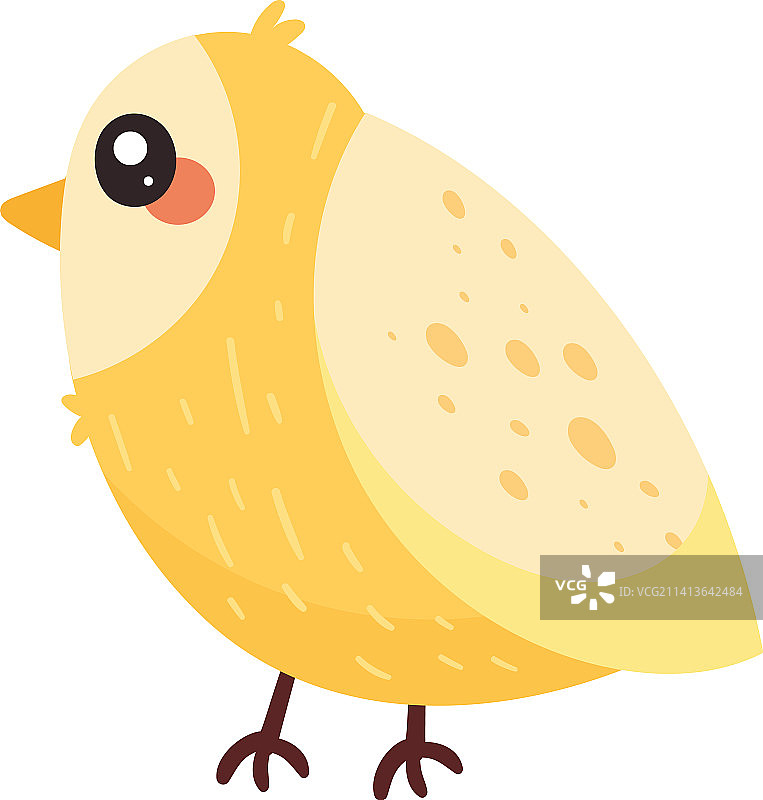 小金丝雀图片素材