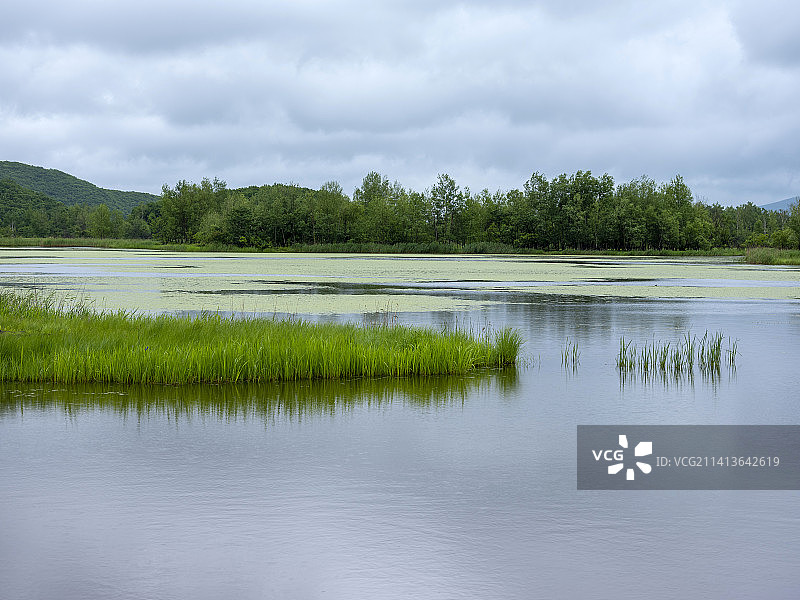 镜泊湖湿地风光图片素材
