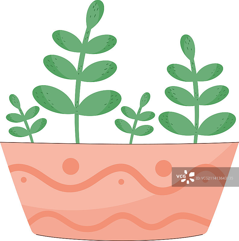 粉色花盆中的盆栽图片素材