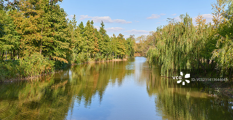 公园里的小河和两侧的树林图片素材