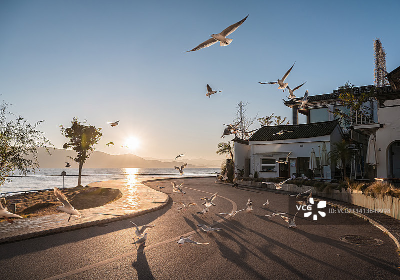 大理磻溪村S弯日出图片素材