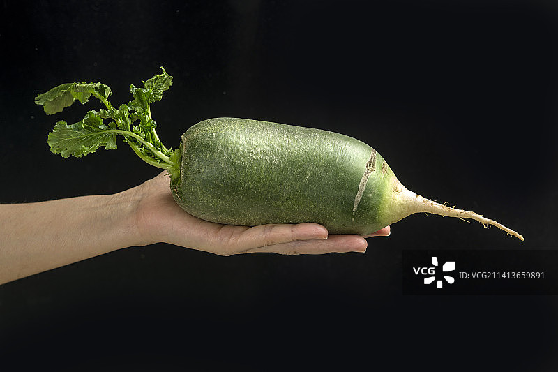 女性手拿青萝卜特写黑色背景图片素材