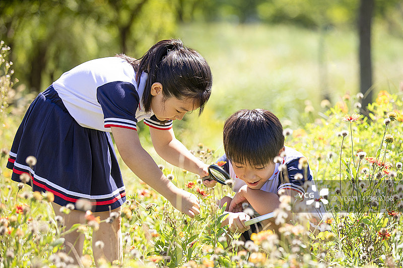快乐的小学生在户外探索自然图片素材